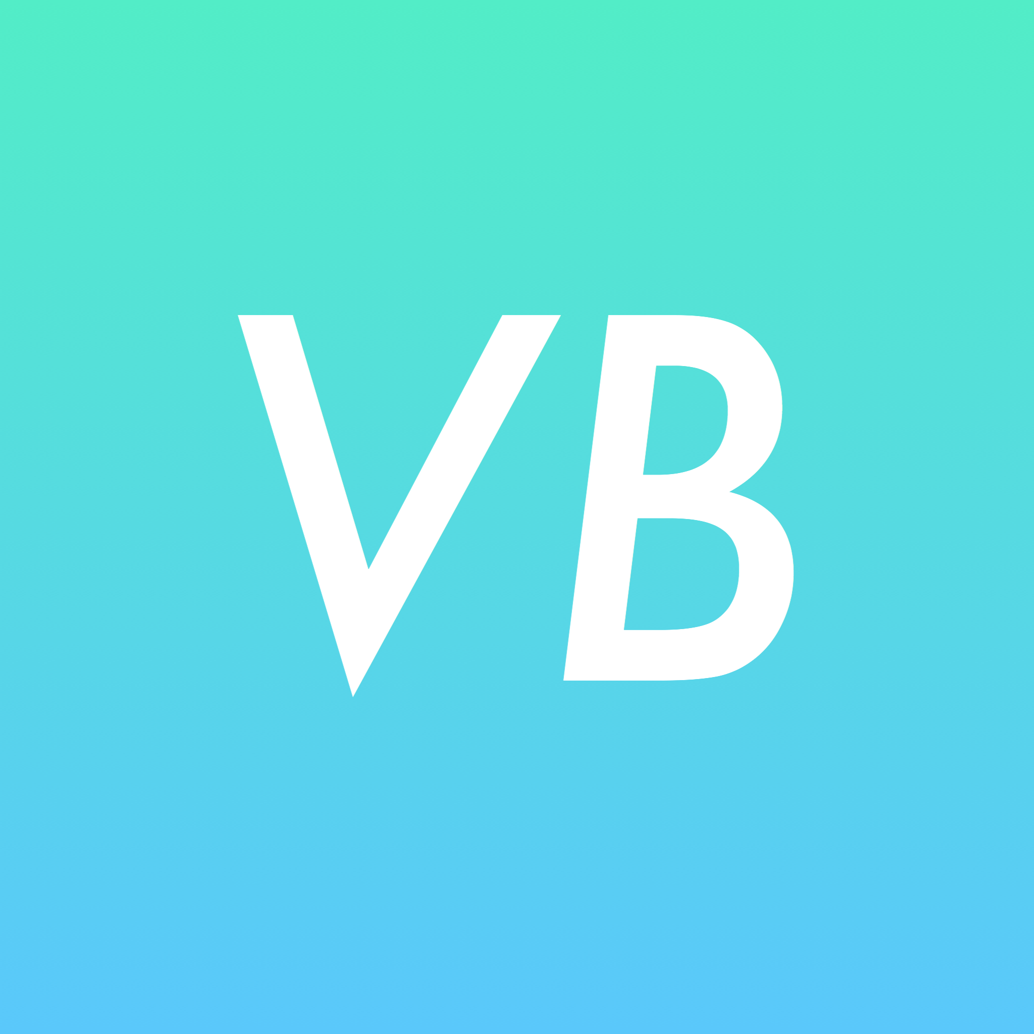  vb datatable temochic 